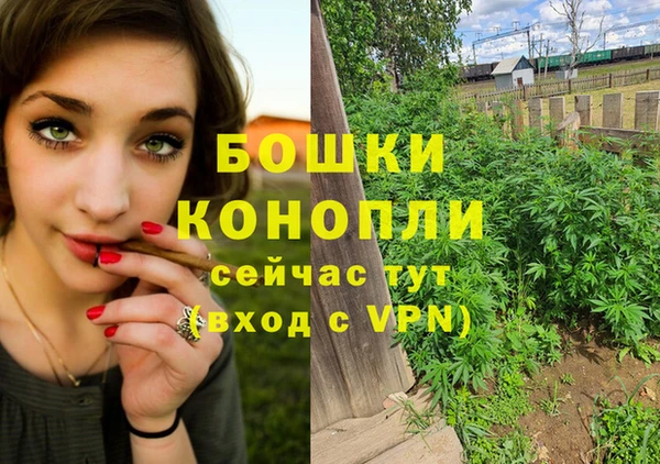 гашиш Заводоуковск