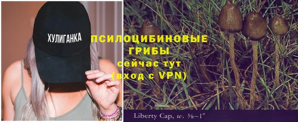 молекула духа Переславль-Залесский
